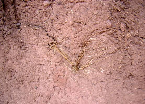 A szálerősítésű beton története